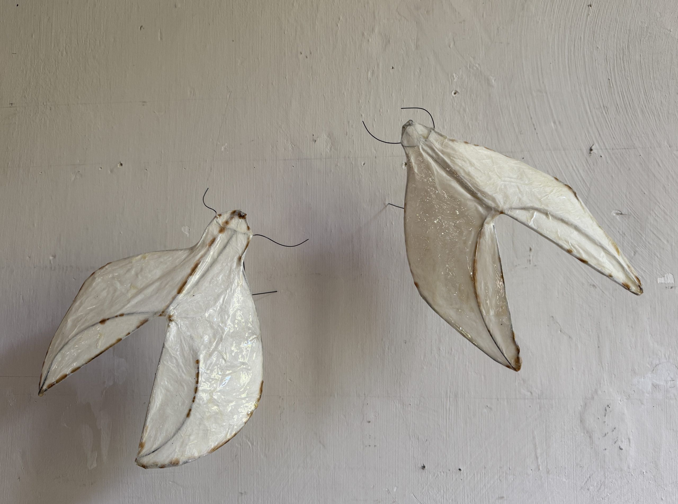 Linie & Raum – Draht & Papier